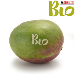 Mangue | Bio