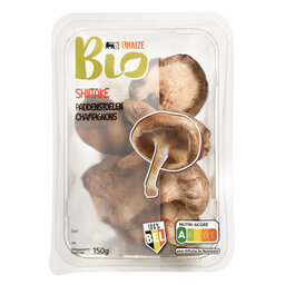 Belgische | Shiitake | Bio