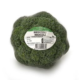Broccoli | 1 piece
