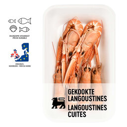 Langoustines | Cuites