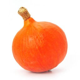 Potiron