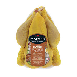 Coquelet jaune St Sever